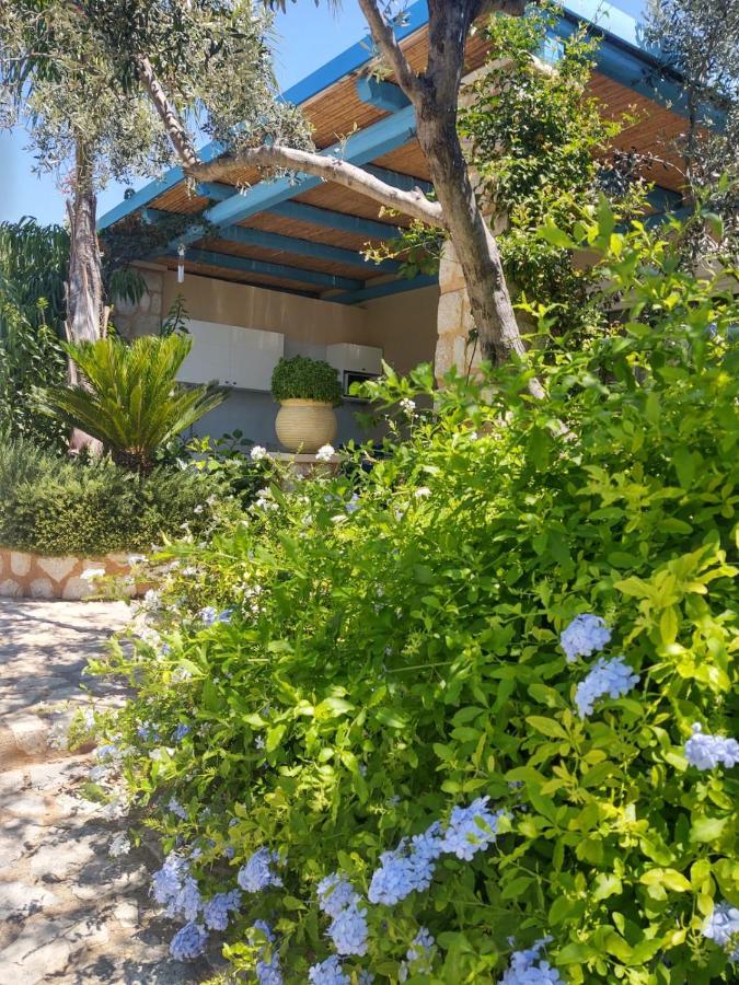 Casa Marimar Boutique Bungalows & Suites بورتو خيلي المظهر الخارجي الصورة