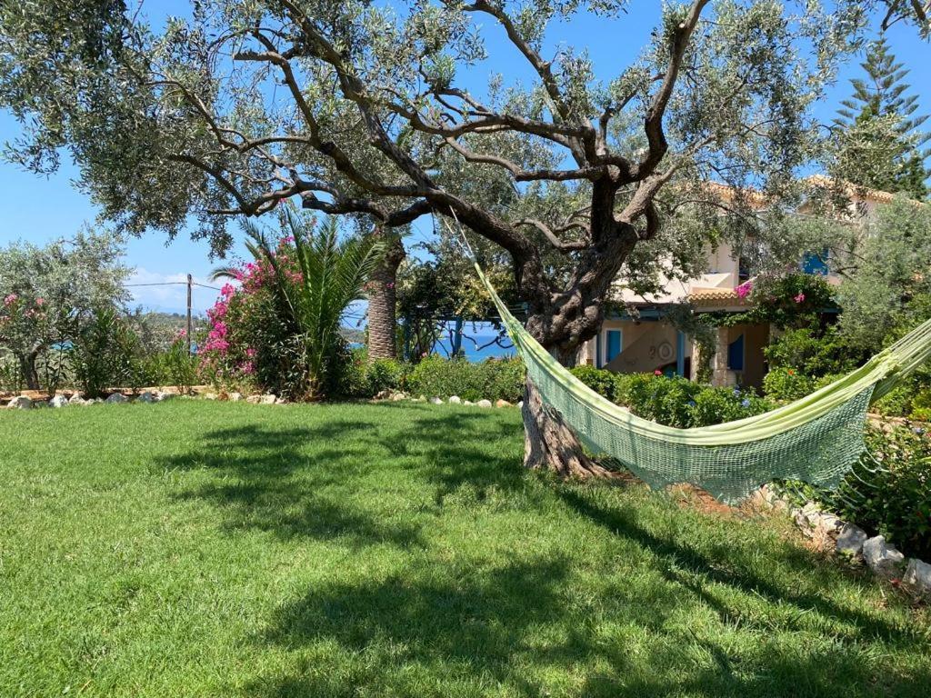 Casa Marimar Boutique Bungalows & Suites بورتو خيلي المظهر الخارجي الصورة